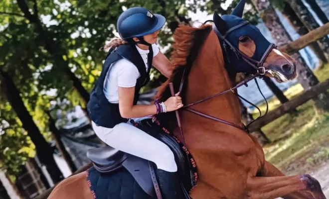 LE CENTRE EQUESTRE DE NOMAIN aux Championnats de France poney, Orchies, ECURIE NOEMIE SAMIJN